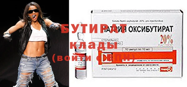 шишки Горняк