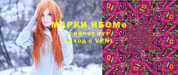 шишки Горняк