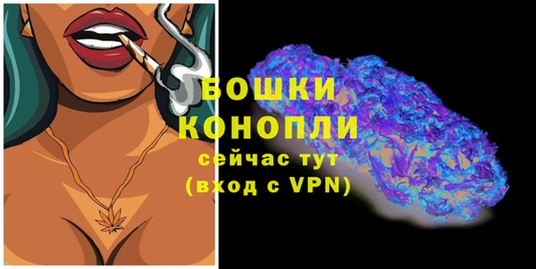 mdpv Горно-Алтайск
