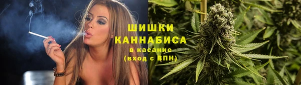 шишки Горняк