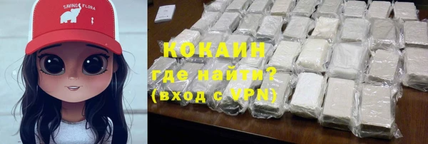 шишки Горняк