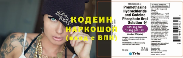 шишки Горняк