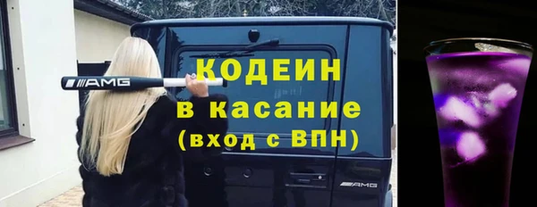 шишки Горняк