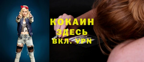 шишки Горняк