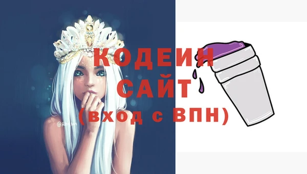2c-b Горнозаводск