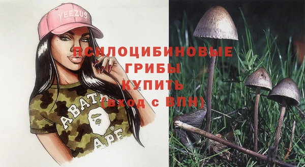 2c-b Горнозаводск