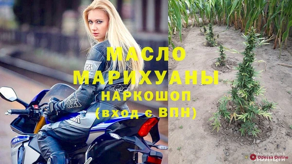шишки Горняк