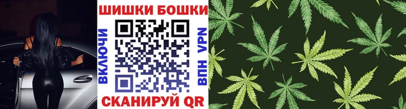 как найти закладки  Петухово  darknet телеграм  Марихуана ГИДРОПОН 